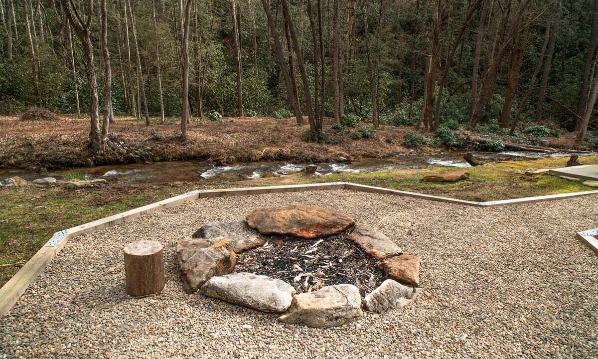 Photo of Others in Pisgah Forest