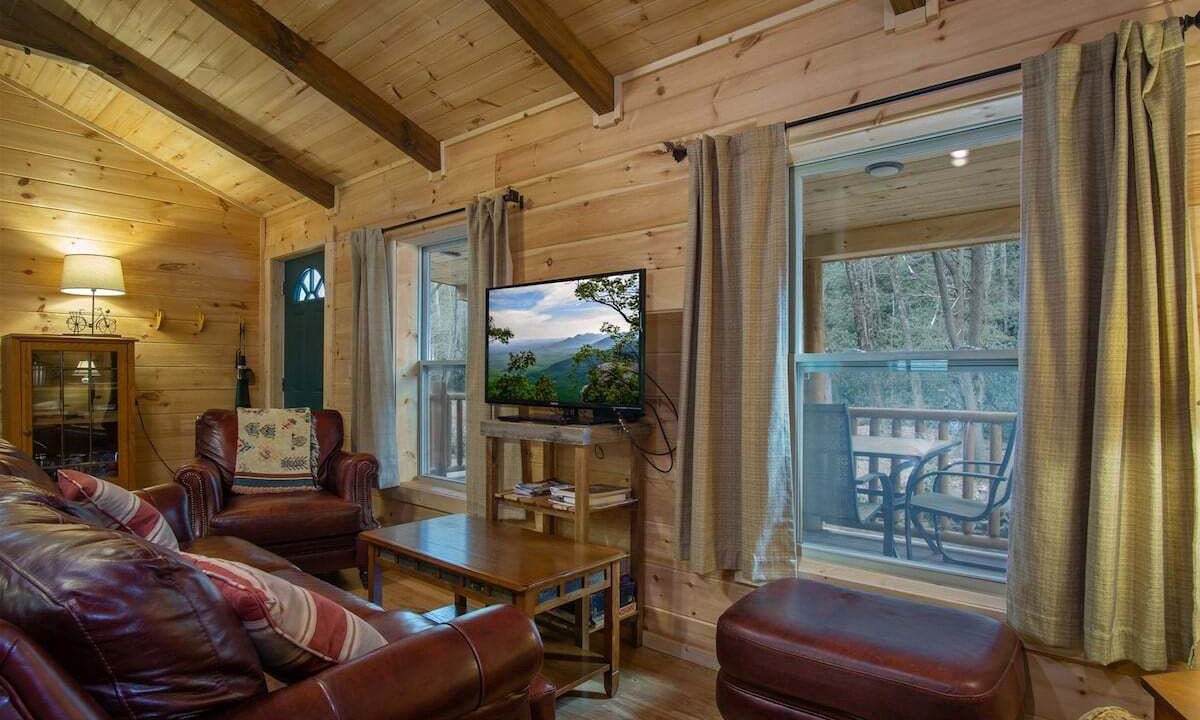 Photo of Livingroom in Pisgah Forest