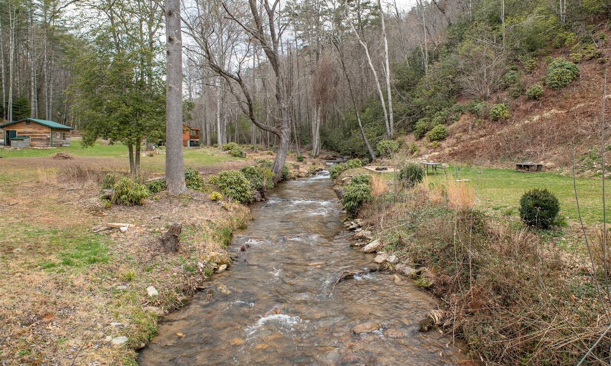 Photo of Others in Pisgah Forest