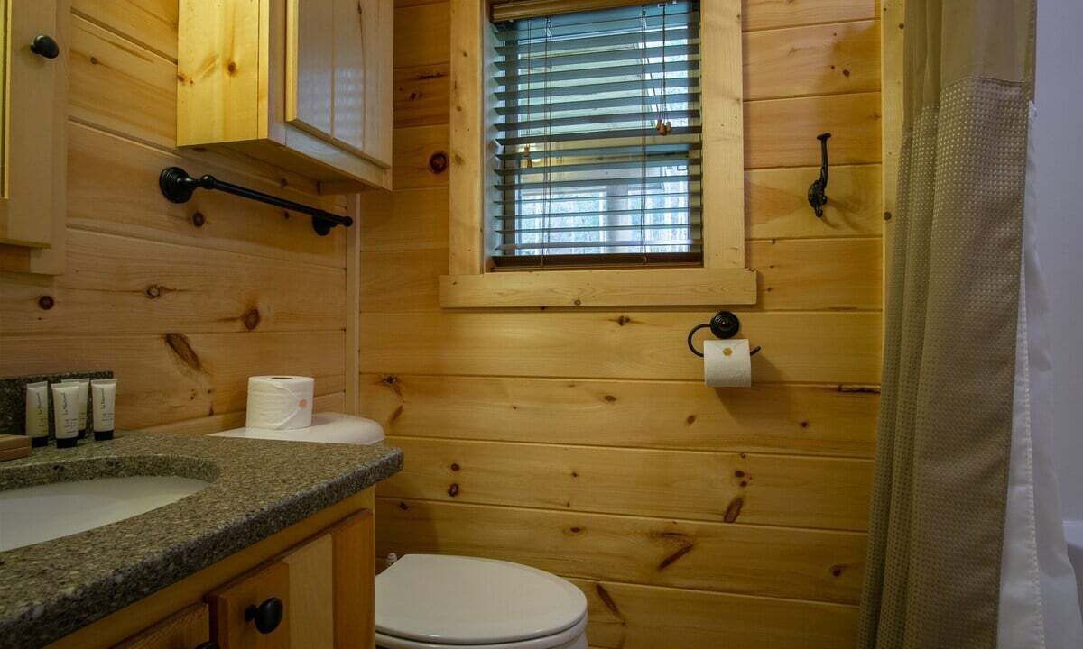 Photo of Bathroom in Pisgah Forest