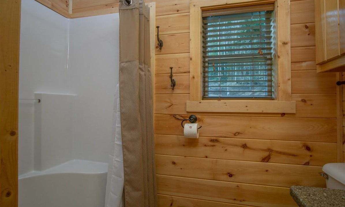 Photo of Bathroom in Pisgah Forest