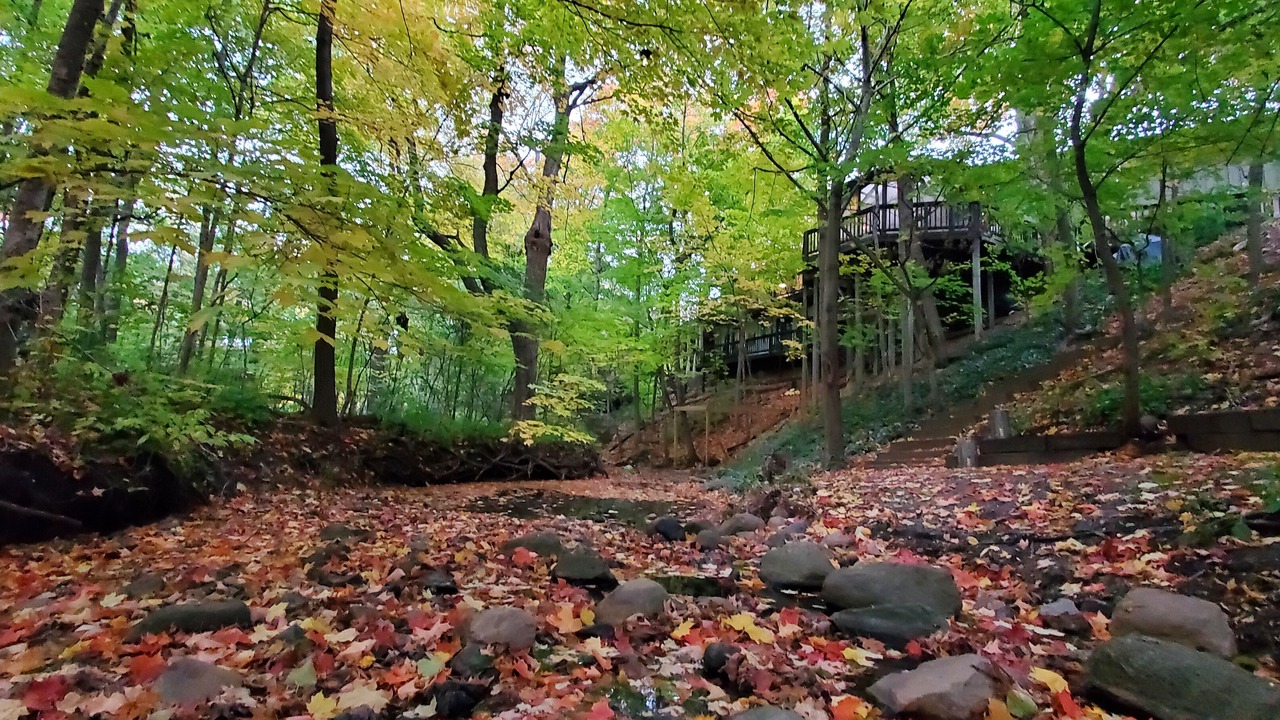 Photo of Outdoor in Racine