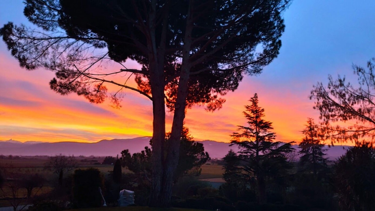 Photo of Others in Mours-Saint-Eusebe