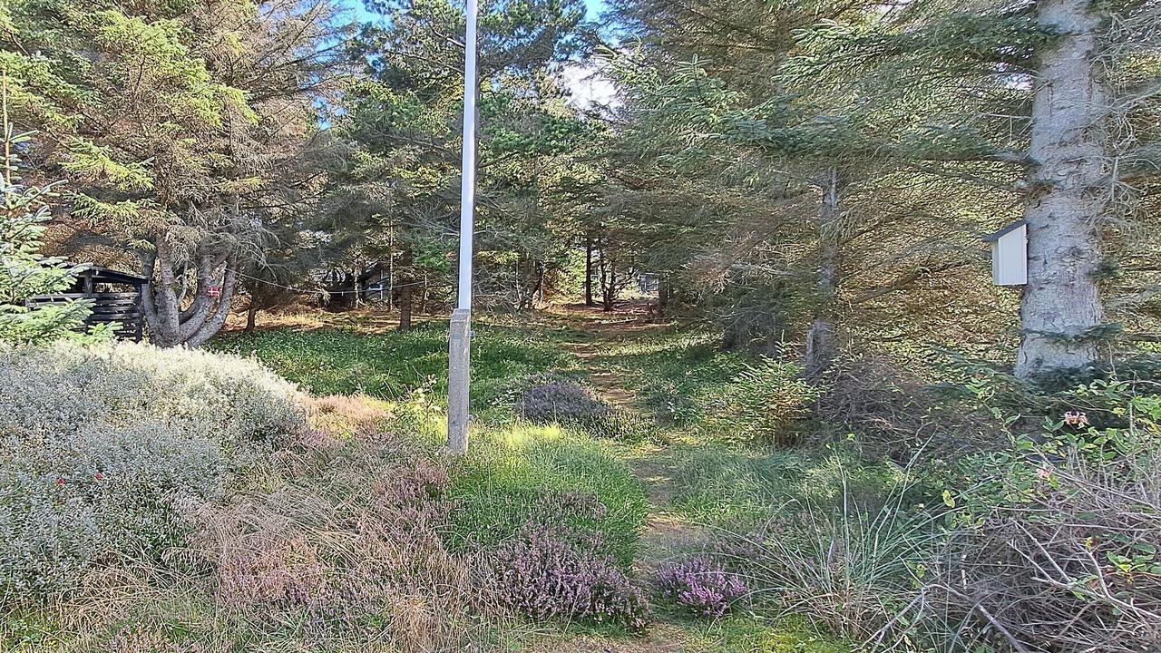 Photo of Others in Vorupør