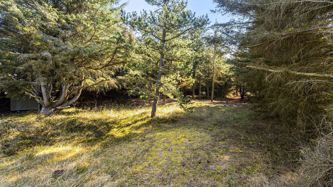 Photo of Others in Vorupør