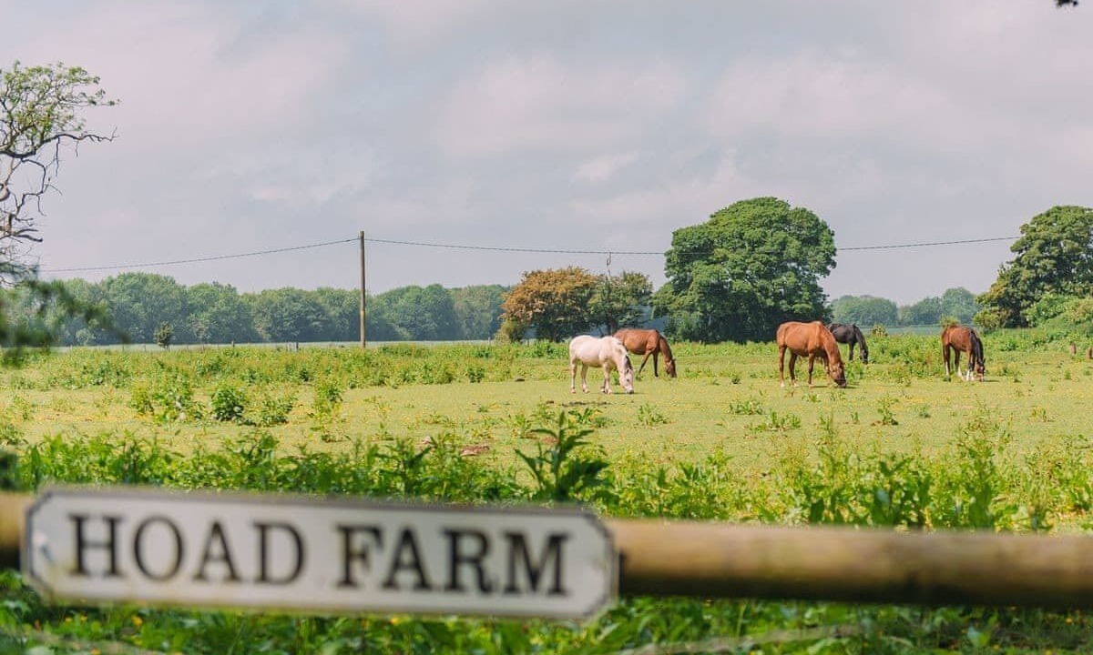 Photo of Others in Selsted