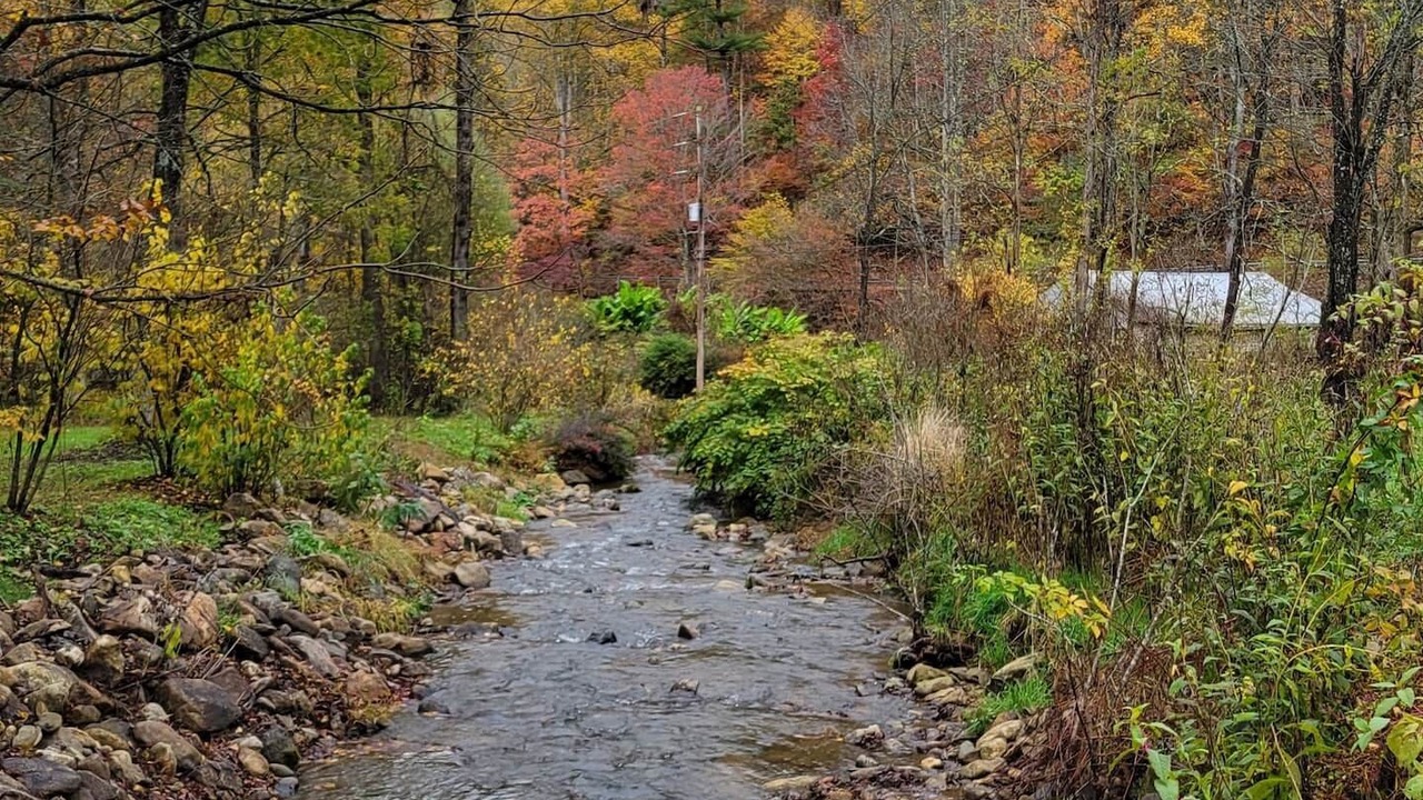 Photo of Outdoor in Flag Pond