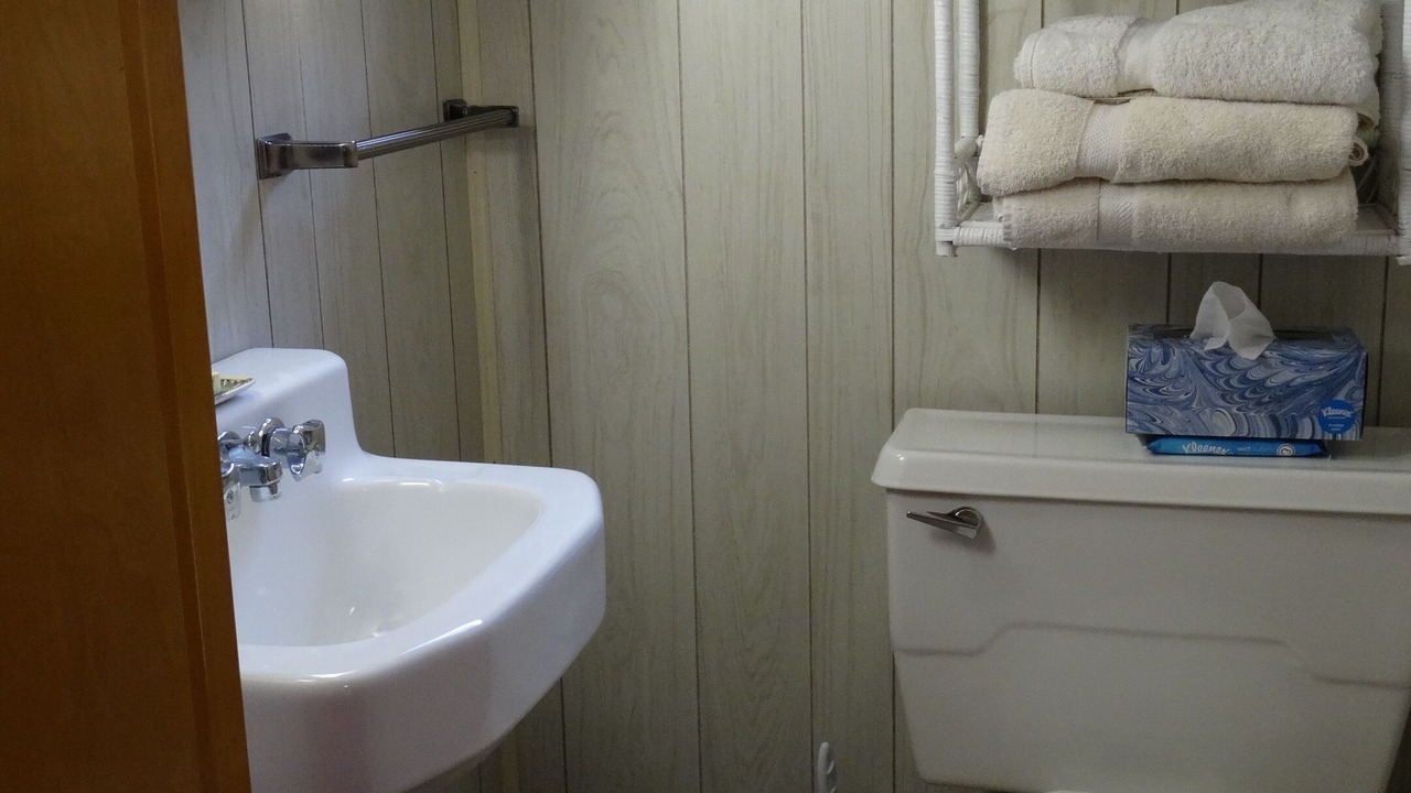 Photo of Bathroom in Honeoye