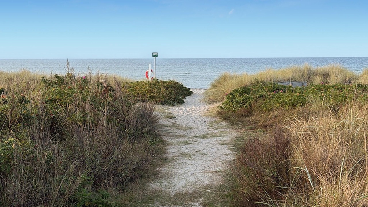 Photo of Others in Fjellerup