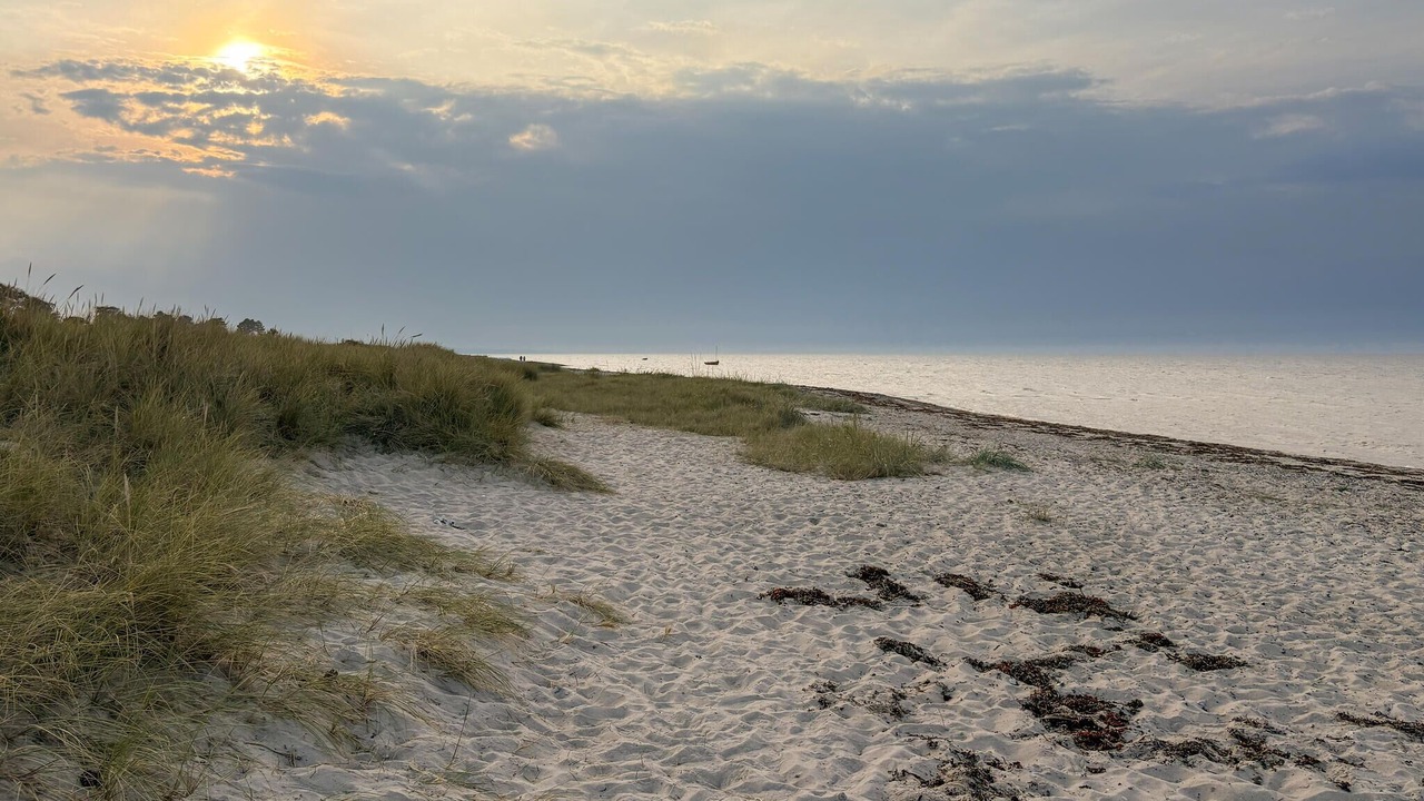 Photo of Others in Fjellerup