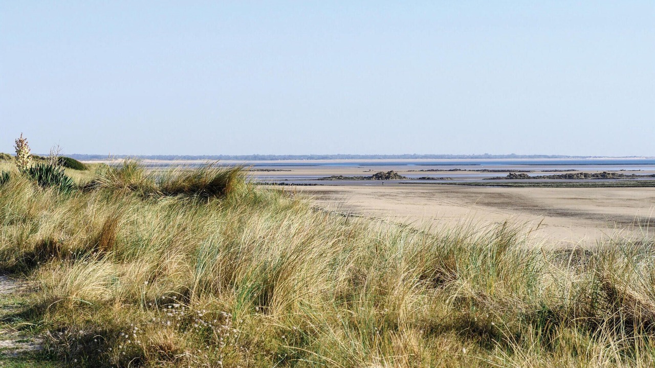 Photo of Others in Saint-Germain-sur-Ay