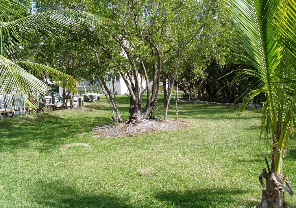 Photo of Outdoor in Islamorada
