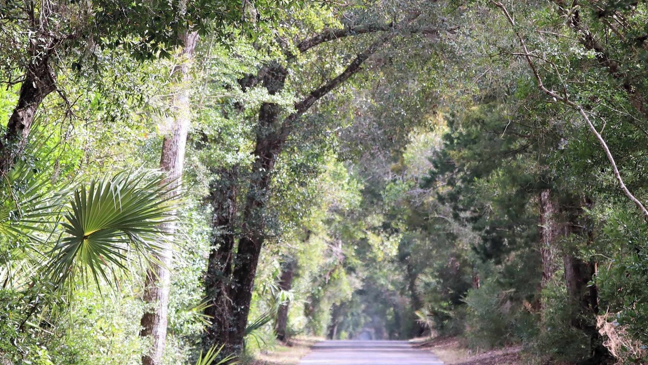 Photo of Outdoor in Bald Head Island