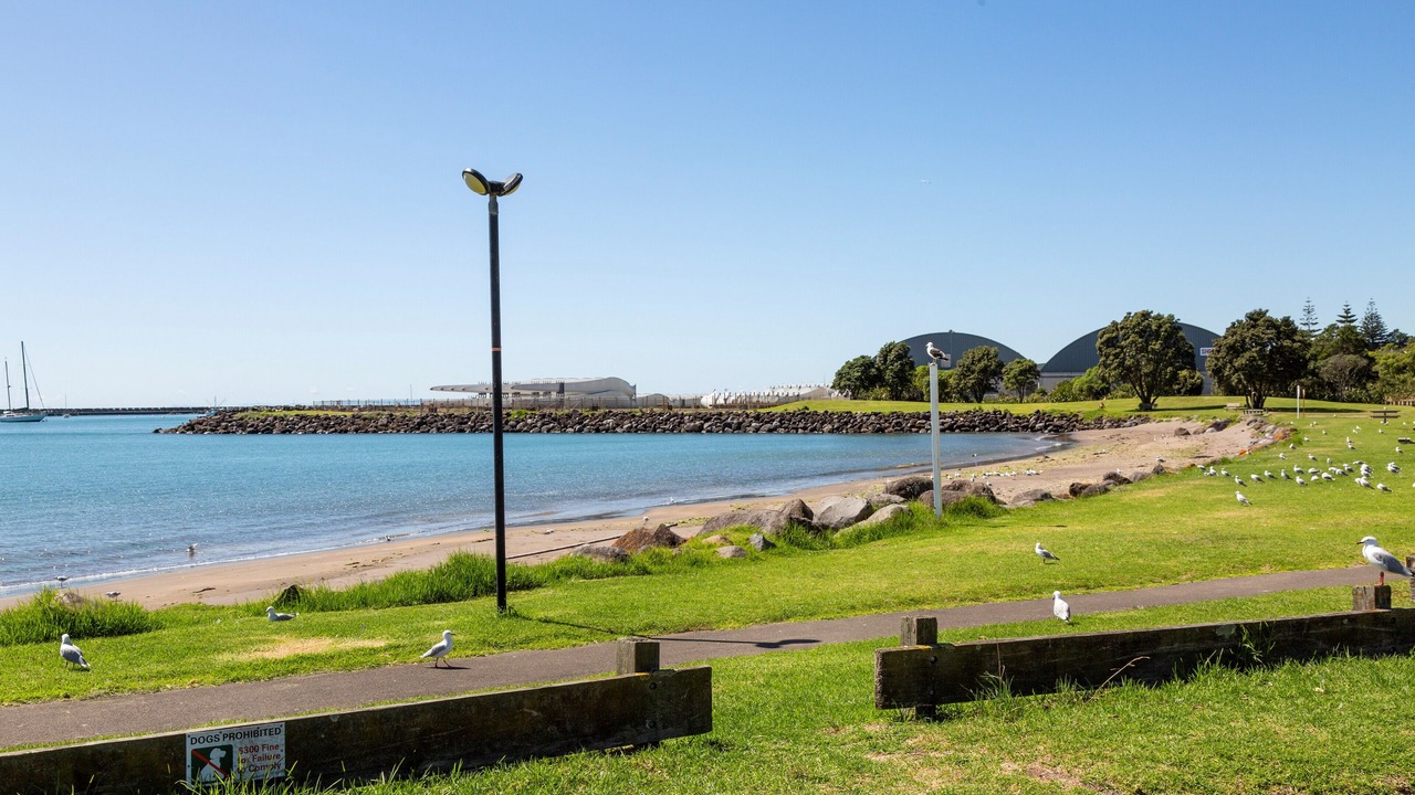 Photo of Outdoor in New Plymouth