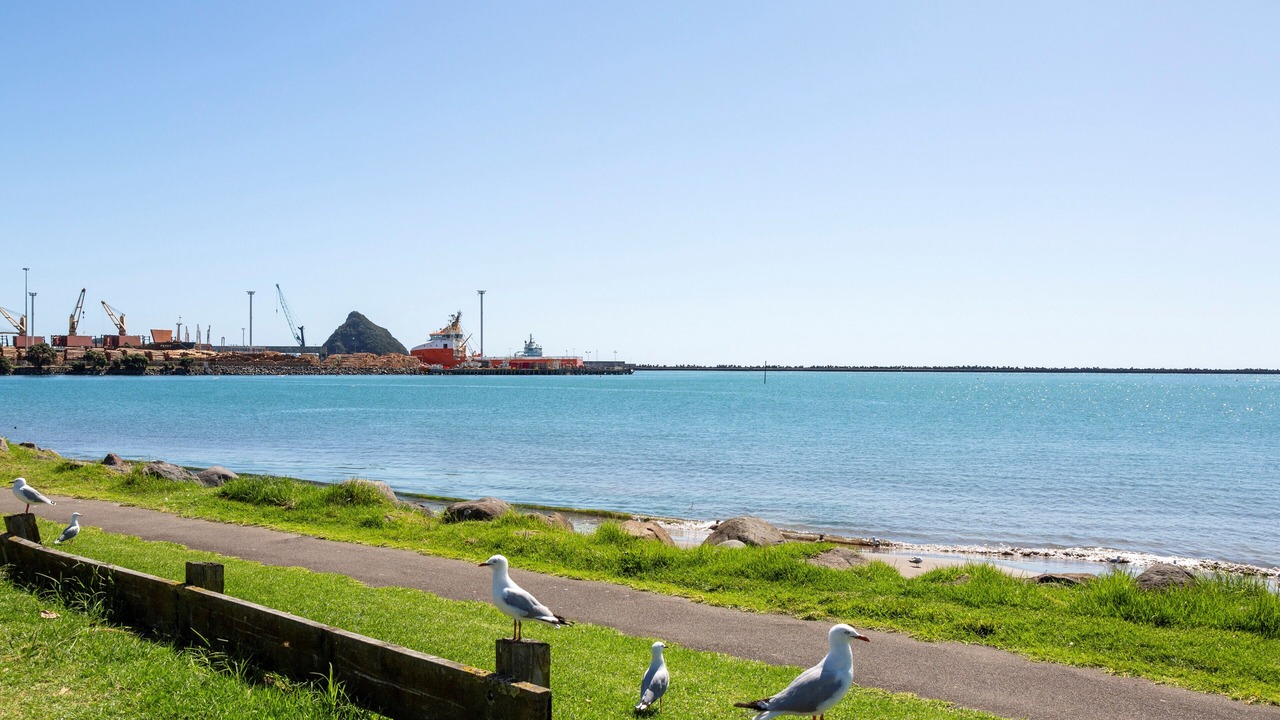 Photo of Others in New Plymouth