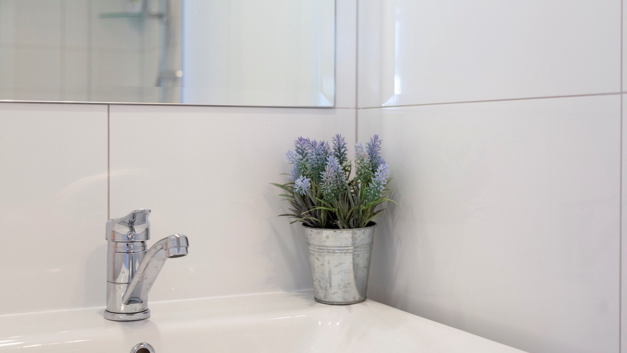 Photo of Bathroom in New Plymouth