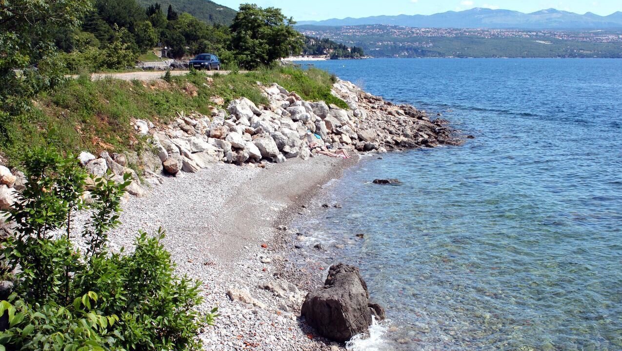 Photo of Others in Ika