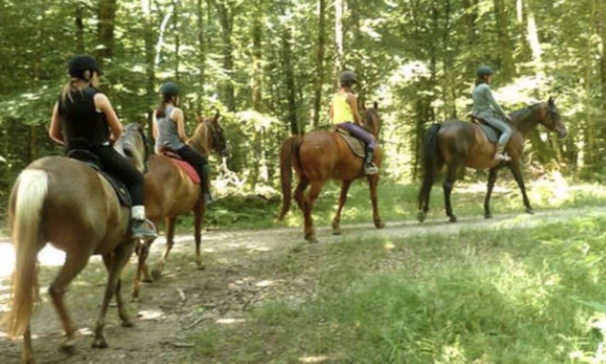 Photo of Others in Pessac
