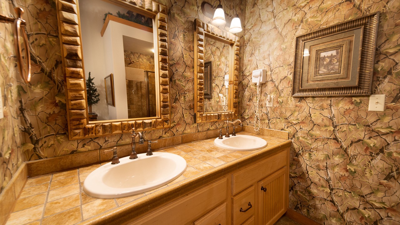 Photo of Bathroom in Branson Theater District