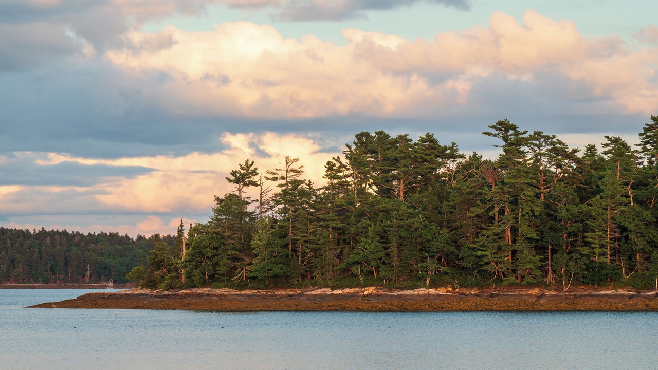 Photo of Others in Freeport