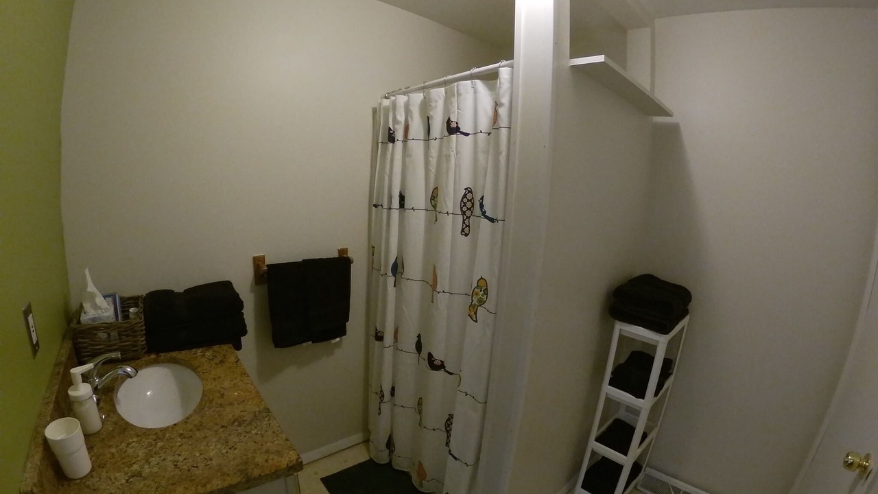 Photo of Bathroom in Downtown Niagara Falls