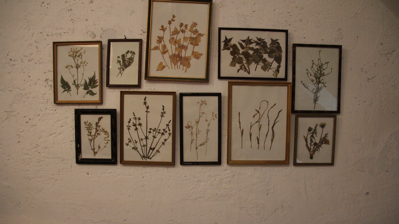 Photo of Others in Vireux-Molhain