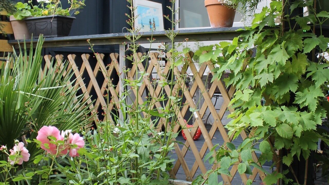 Photo of Others in Exmouth