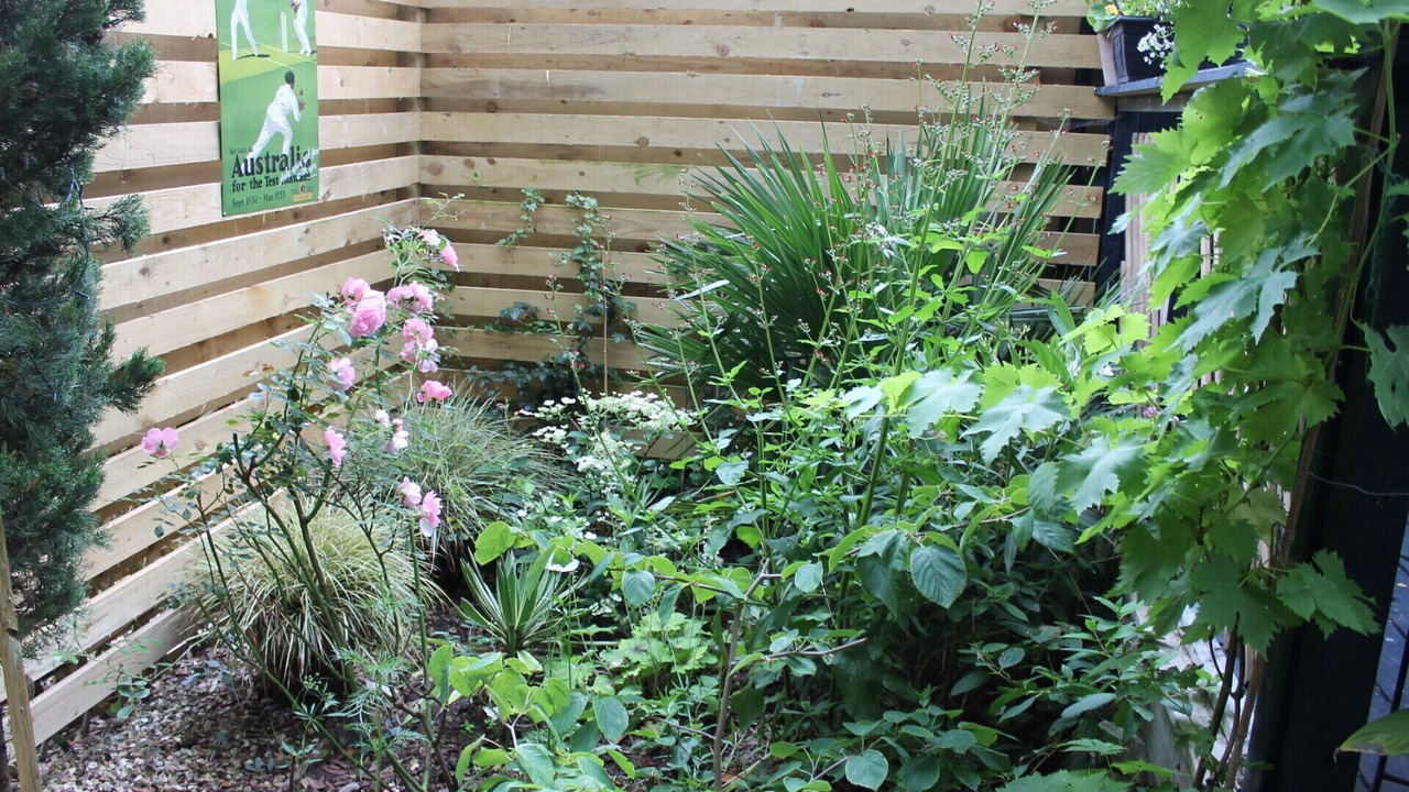 Photo of Outdoor in Exmouth