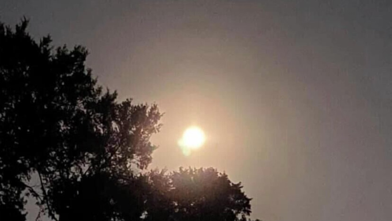 Photo of Outdoor in Wellborn