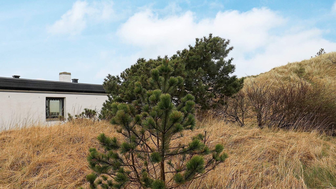 Photo of Others in Pandrup