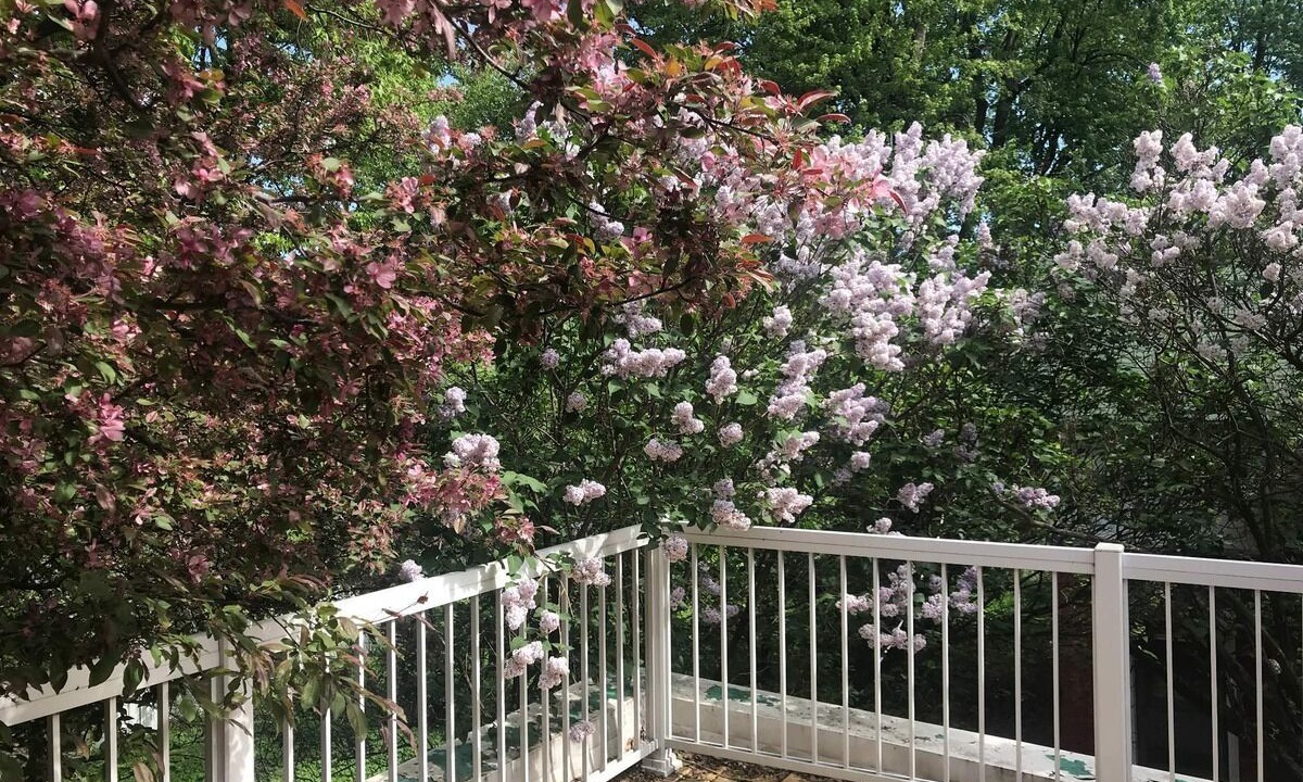 Photo of Outdoor in Cote-Des-Neiges—Notre-Dame-De-Grace