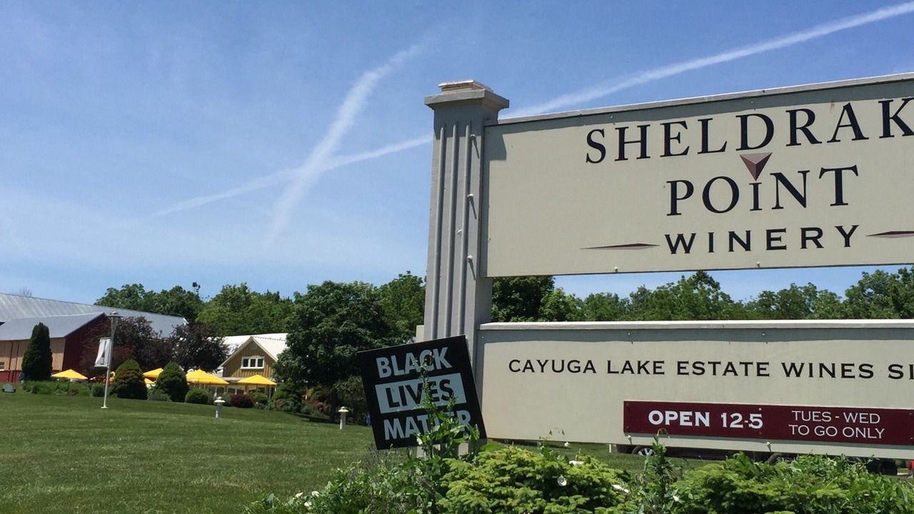Photo of Others in Sheldrake
