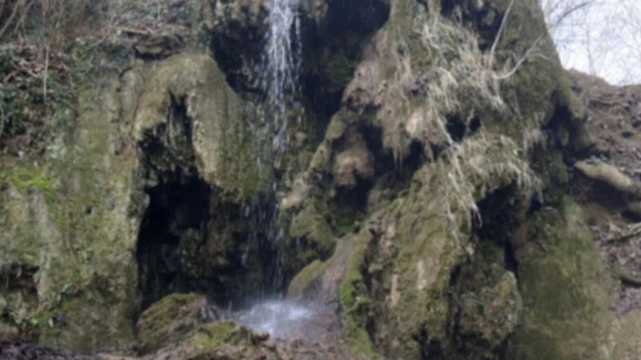 Photo of Outdoor in Quincy-sous-le-Mont