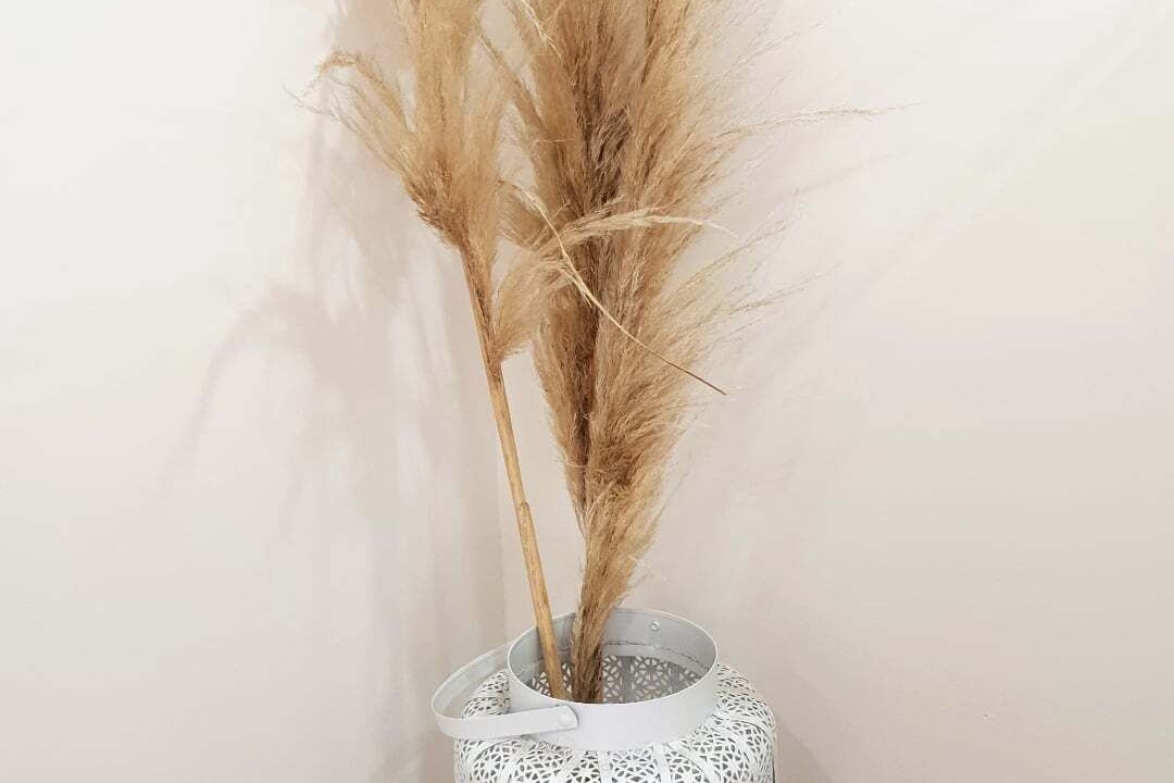 Photo of Others in Santenay