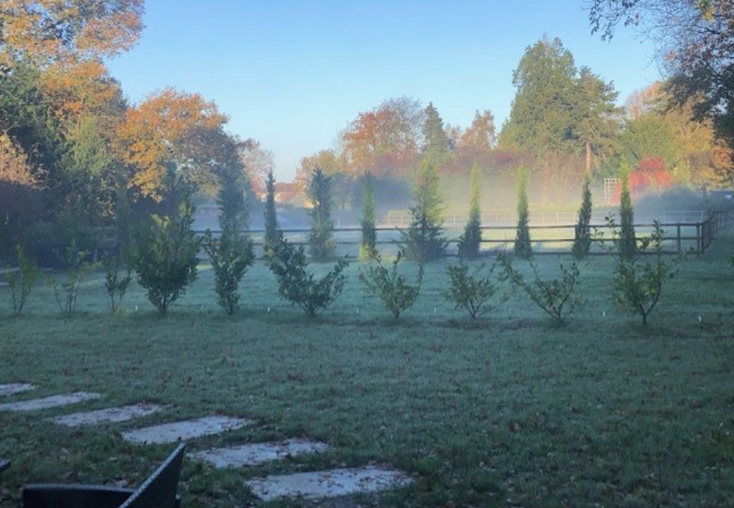 Photo of Outdoor in Darwin