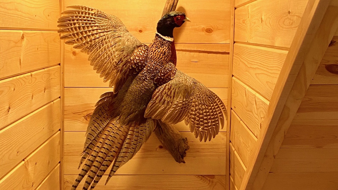 Photo of Others in Hayward