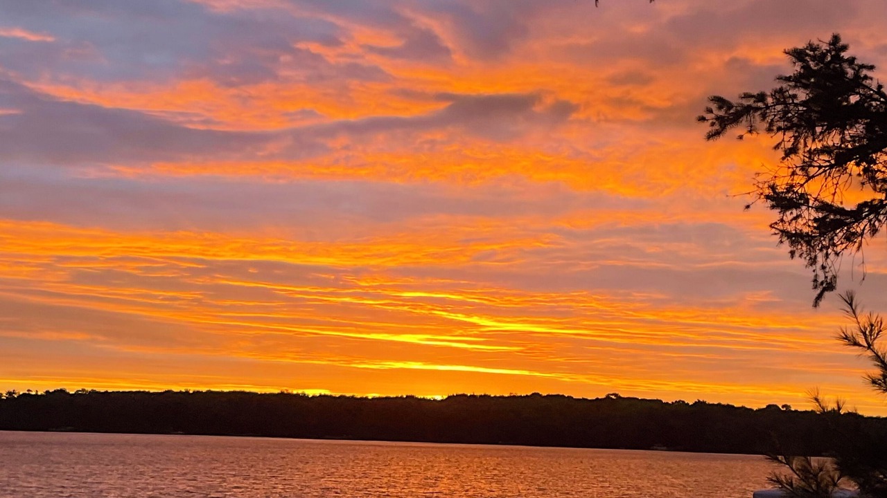 Photo of Outdoor in Hayward