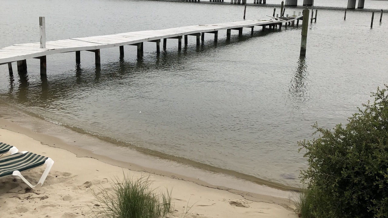 Photo of Others in Willoughby Spit