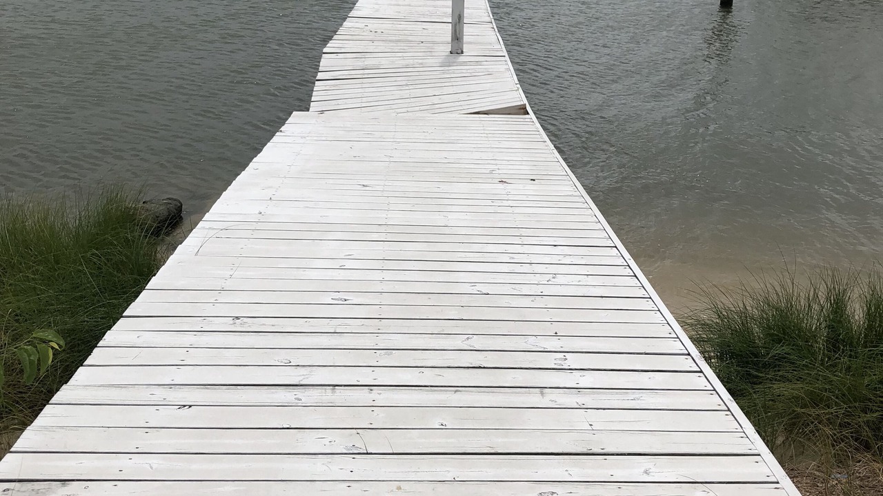 Photo of Outdoor in Willoughby Spit