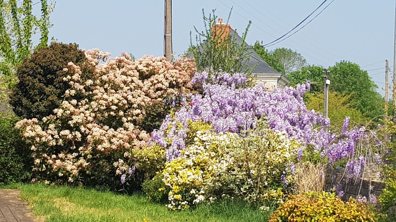 Photo of Outdoor in La Jaille-Yvon