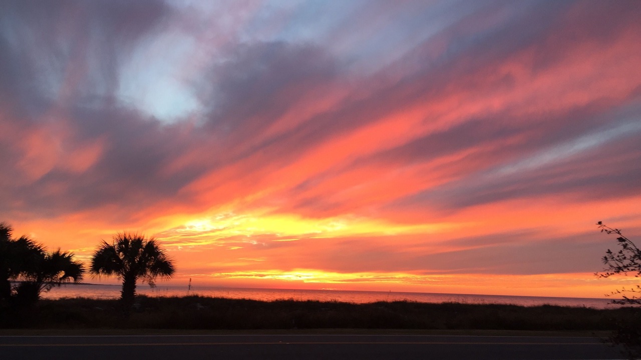 Photo of Others in Mexico Beach