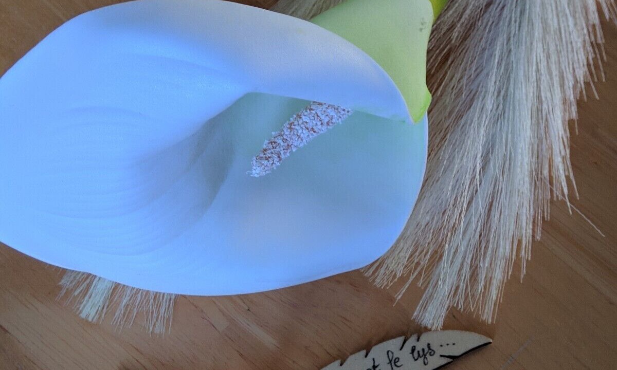 Photo of Others in Azay-le-Rideau