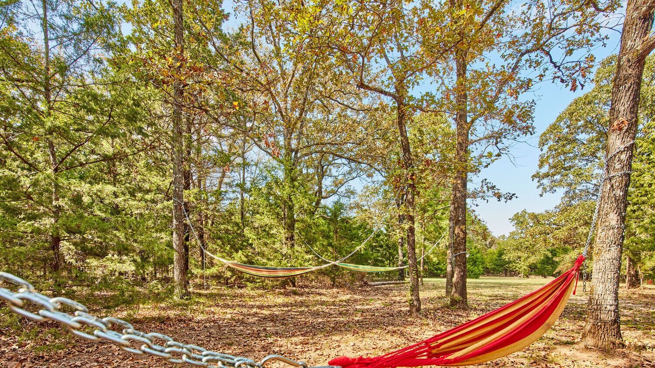 Photo of Outdoor in Van Zandt County