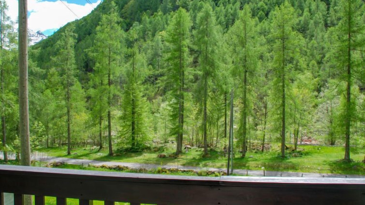 Photo of Others in Sonogno