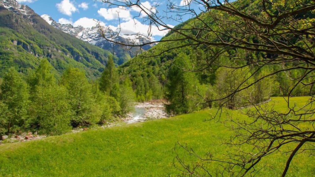 Photo of Others in Sonogno