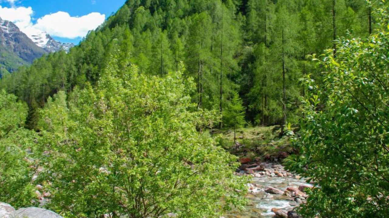 Photo of Others in Sonogno