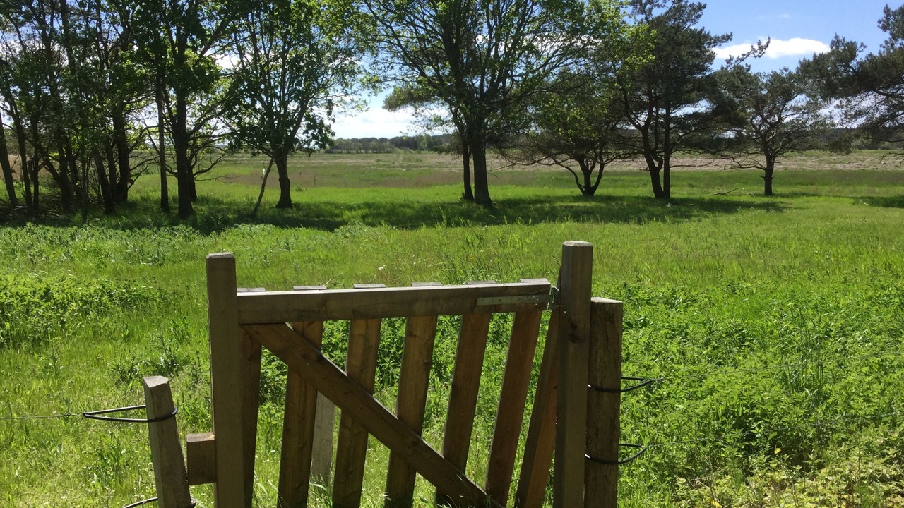 Photo of Others in Læsø