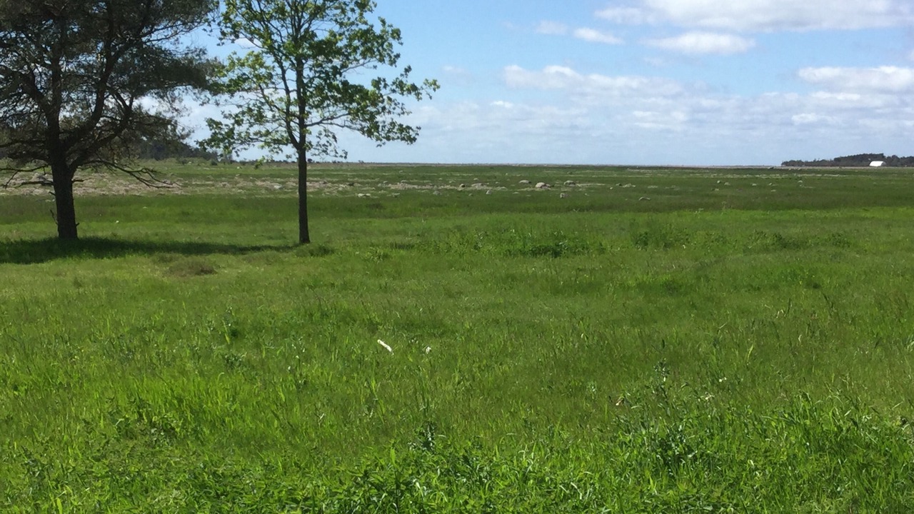 Photo of Others in Læsø
