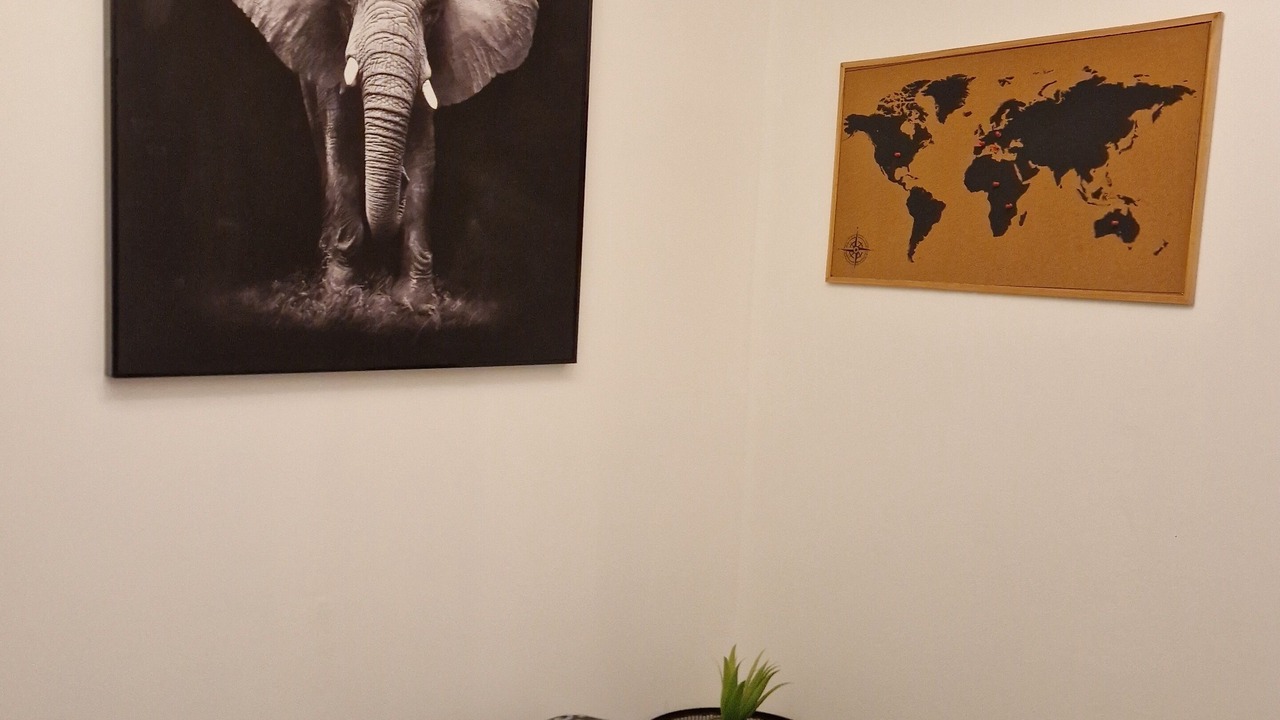 Photo of Bedroom in Malo-les-Bains