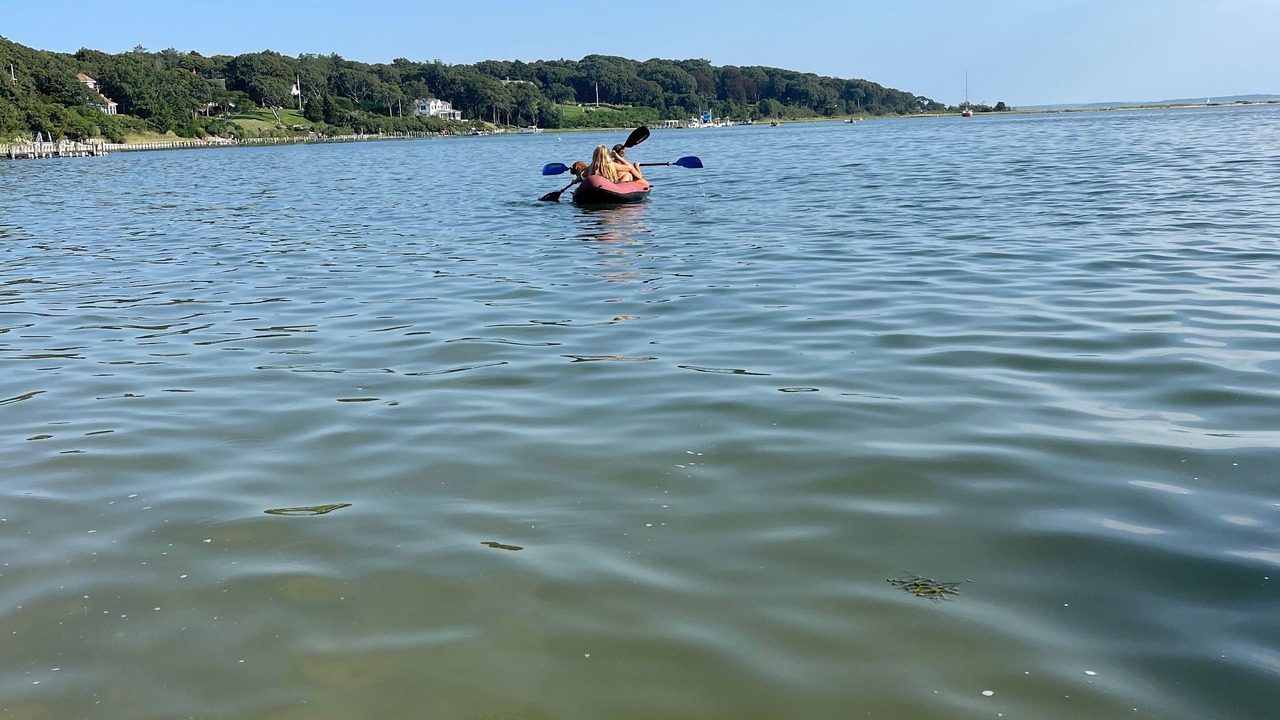 Photo of Others in Cutchogue